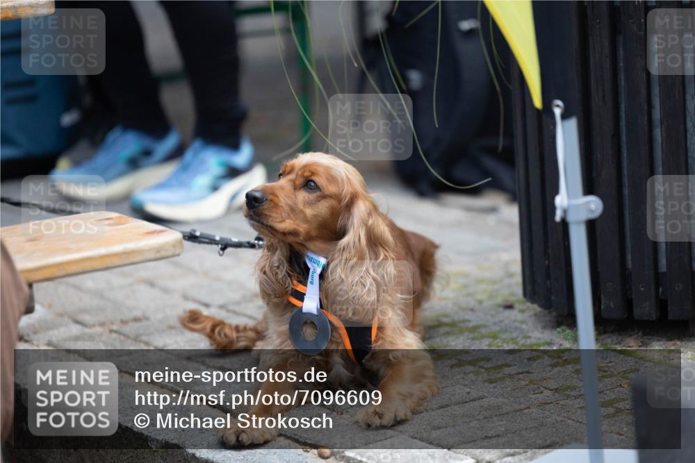 15.09.2024 - PSD Bank Halbmarathon Michael Strokosch http://msf.ph/oto/7096609 15.09.2024 12:24:04 Allgemein zum Event  meine-sportfotos.de