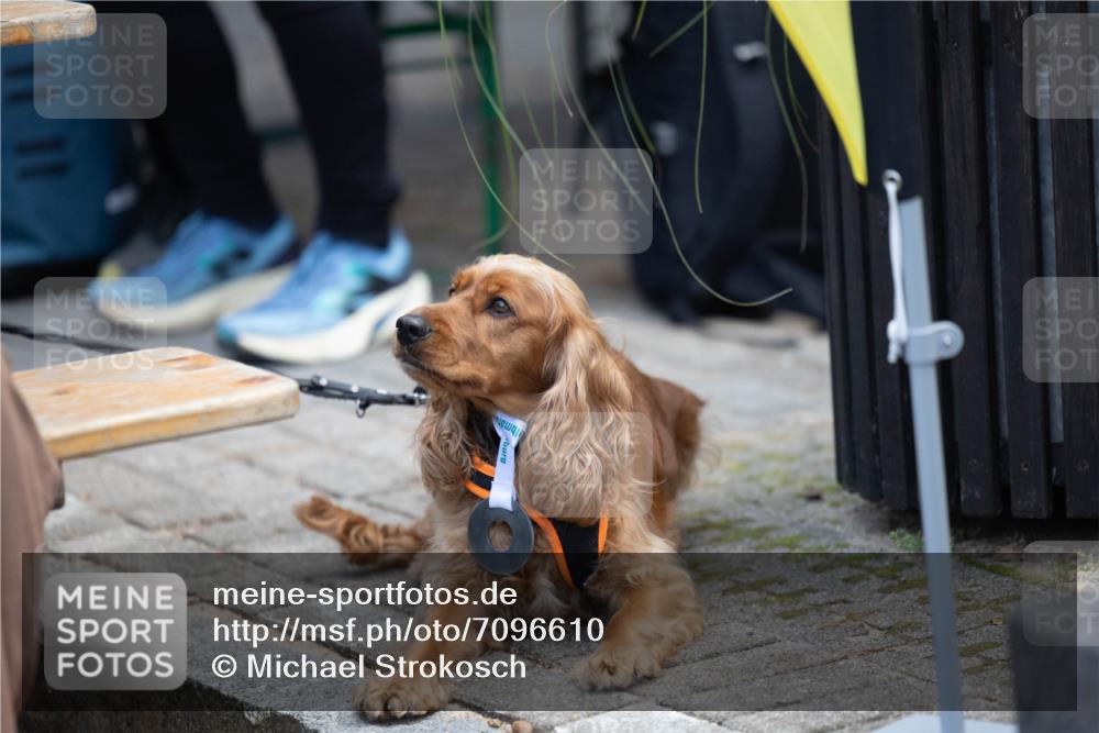 15.09.2024 - PSD Bank Halbmarathon Michael Strokosch http://msf.ph/oto/7096610 15.09.2024 12:24:04 Allgemein zum Event 11, 11 meine-sportfotos.de