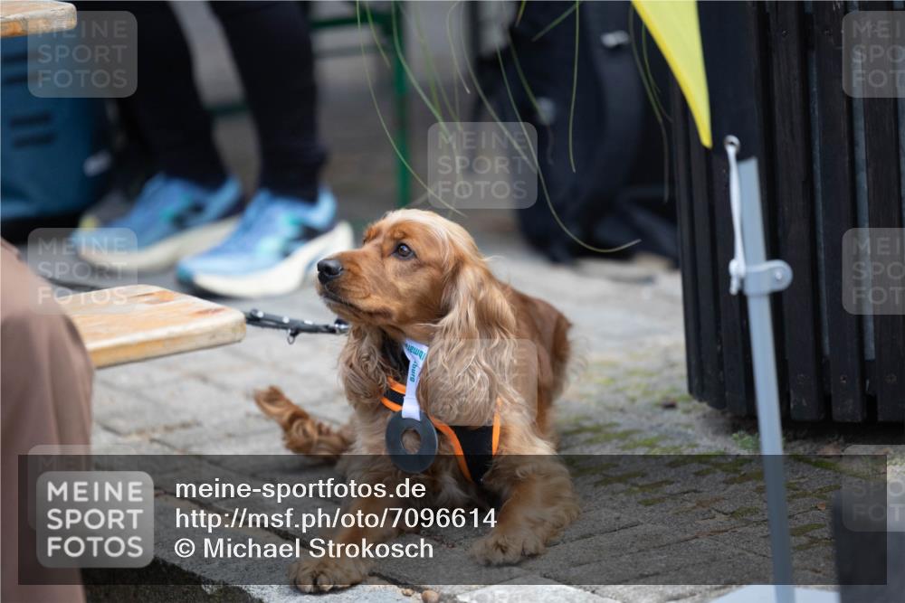 15.09.2024 - PSD Bank Halbmarathon Michael Strokosch http://msf.ph/oto/7096614 15.09.2024 12:24:03 Allgemein zum Event 11, 11 meine-sportfotos.de
