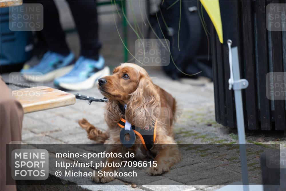 15.09.2024 - PSD Bank Halbmarathon Michael Strokosch http://msf.ph/oto/7096615 15.09.2024 12:24:03 Allgemein zum Event 11 meine-sportfotos.de