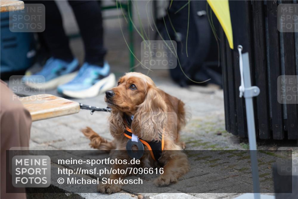 15.09.2024 - PSD Bank Halbmarathon Michael Strokosch http://msf.ph/oto/7096616 15.09.2024 12:24:02 Allgemein zum Event  meine-sportfotos.de