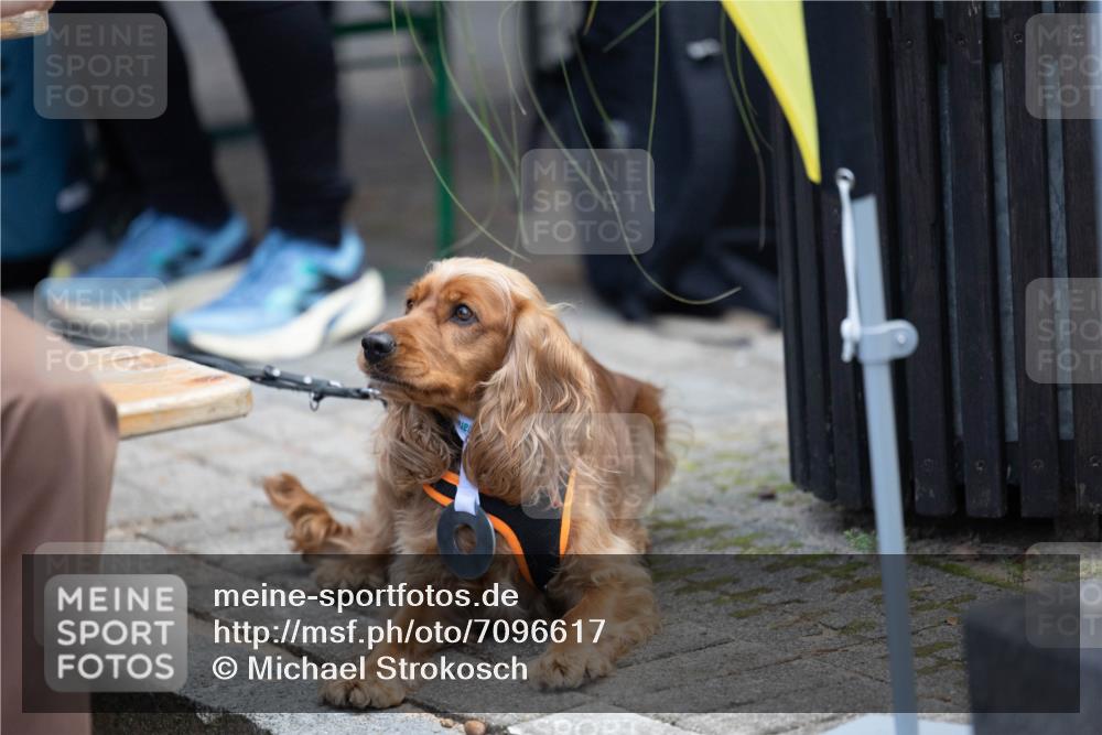15.09.2024 - PSD Bank Halbmarathon Michael Strokosch http://msf.ph/oto/7096617 15.09.2024 12:24:02 Allgemein zum Event  meine-sportfotos.de
