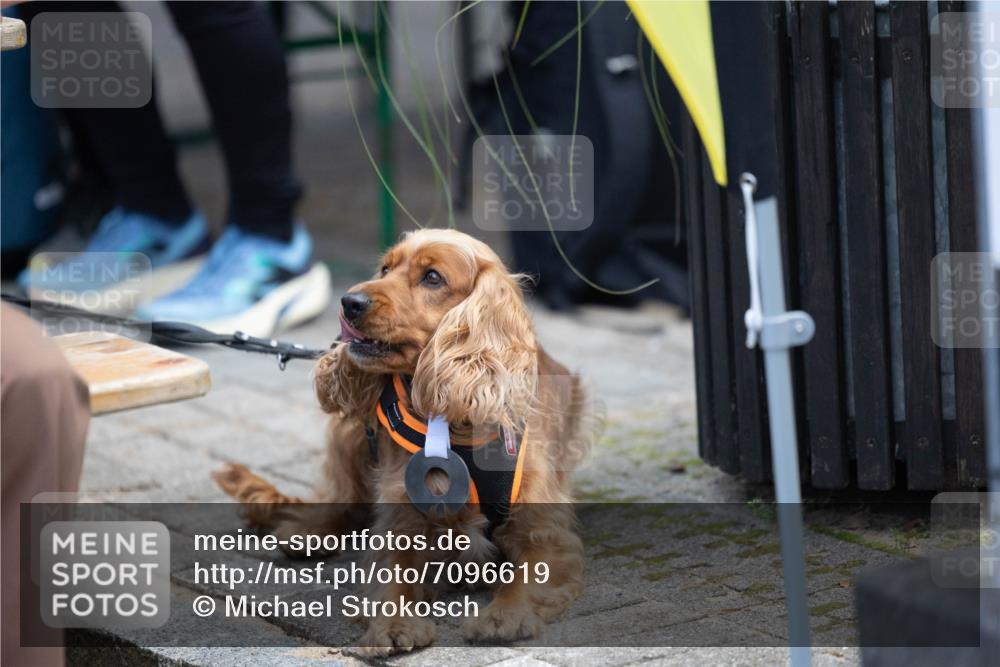 15.09.2024 - PSD Bank Halbmarathon Michael Strokosch http://msf.ph/oto/7096619 15.09.2024 12:24:02 Allgemein zum Event  meine-sportfotos.de