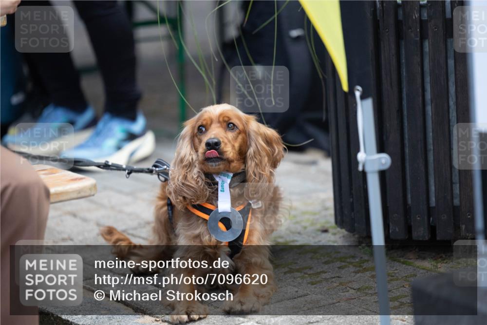 15.09.2024 - PSD Bank Halbmarathon Michael Strokosch http://msf.ph/oto/7096620 15.09.2024 12:24:02 Allgemein zum Event  meine-sportfotos.de