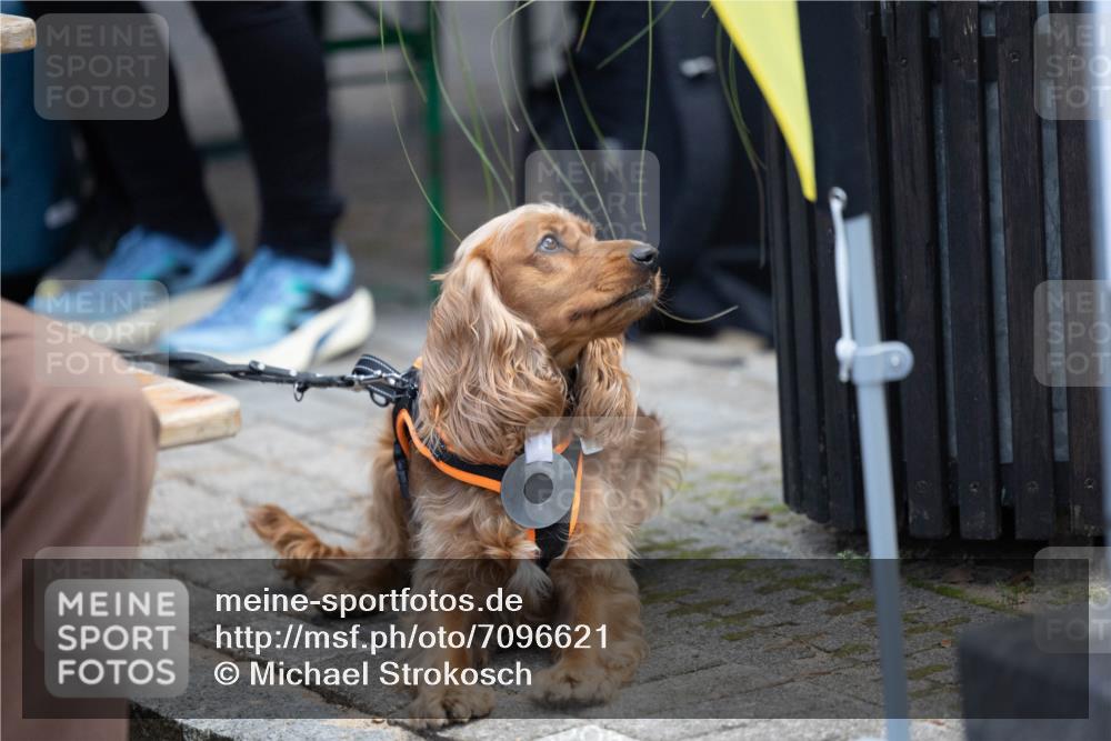 15.09.2024 - PSD Bank Halbmarathon Michael Strokosch http://msf.ph/oto/7096621 15.09.2024 12:24:01 Allgemein zum Event  meine-sportfotos.de