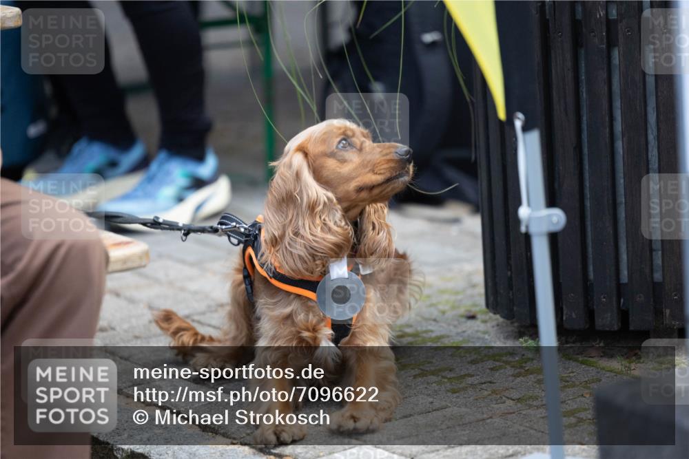 15.09.2024 - PSD Bank Halbmarathon Michael Strokosch http://msf.ph/oto/7096622 15.09.2024 12:24:01 Allgemein zum Event  meine-sportfotos.de