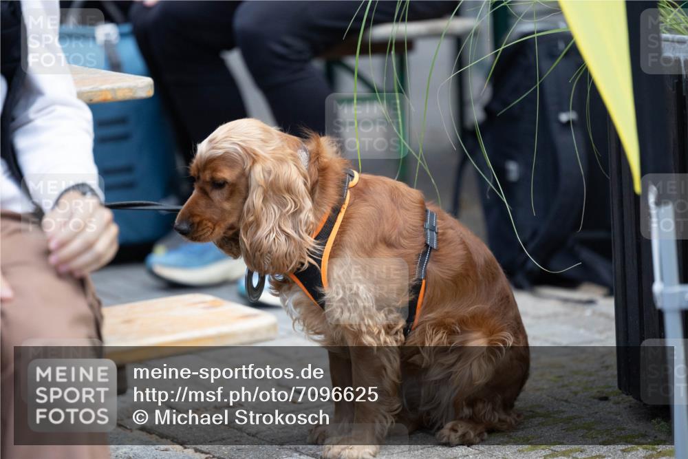 15.09.2024 - PSD Bank Halbmarathon Michael Strokosch http://msf.ph/oto/7096625 15.09.2024 12:23:51 Allgemein zum Event  meine-sportfotos.de