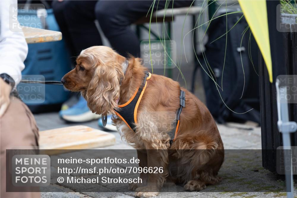 15.09.2024 - PSD Bank Halbmarathon Michael Strokosch http://msf.ph/oto/7096626 15.09.2024 12:23:51 Allgemein zum Event  meine-sportfotos.de
