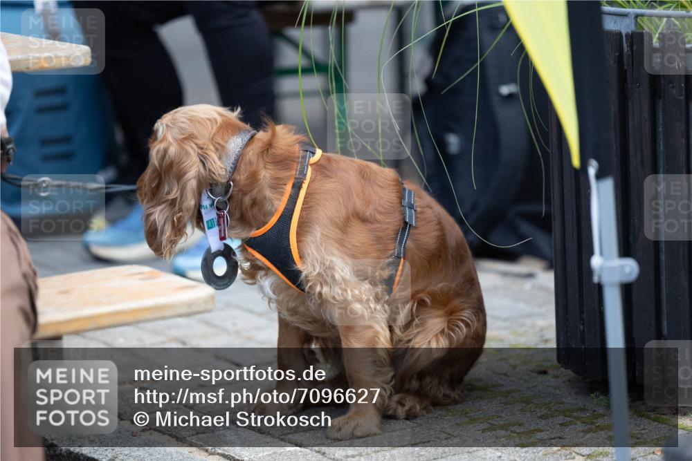 15.09.2024 - PSD Bank Halbmarathon Michael Strokosch http://msf.ph/oto/7096627 15.09.2024 12:23:50 Allgemein zum Event 11, 11 meine-sportfotos.de