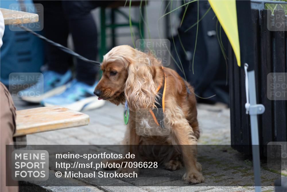 15.09.2024 - PSD Bank Halbmarathon Michael Strokosch http://msf.ph/oto/7096628 15.09.2024 12:23:49 Allgemein zum Event 11 meine-sportfotos.de