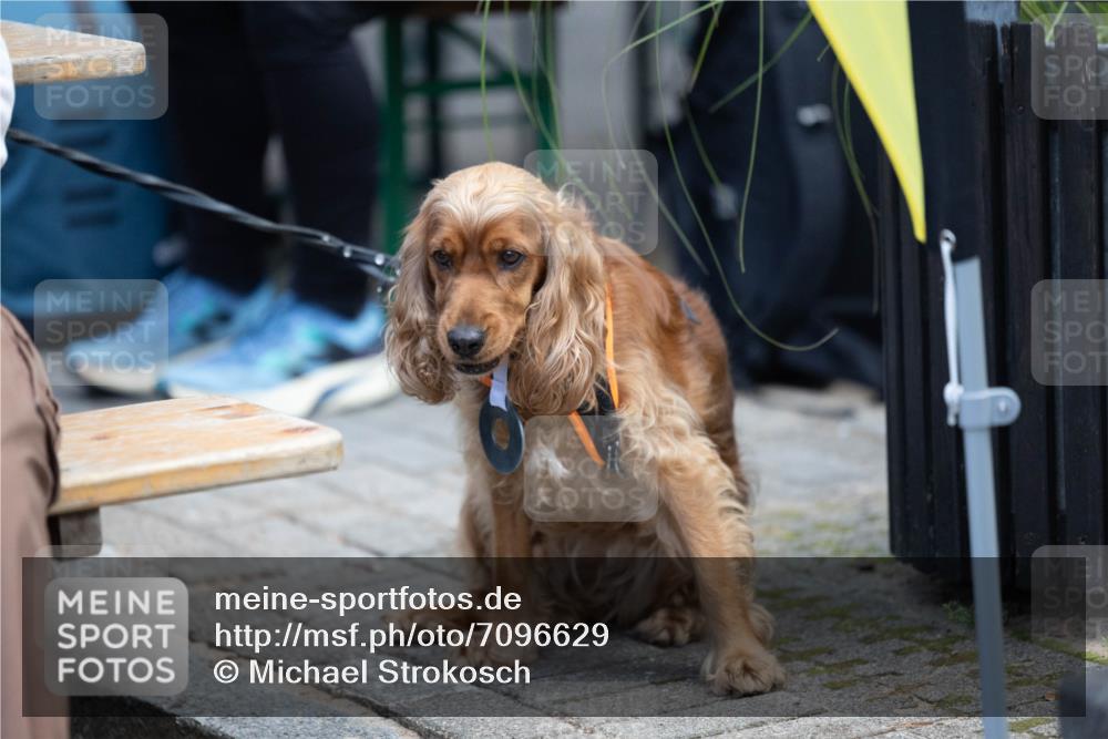 15.09.2024 - PSD Bank Halbmarathon Michael Strokosch http://msf.ph/oto/7096629 15.09.2024 12:23:49 Allgemein zum Event  meine-sportfotos.de