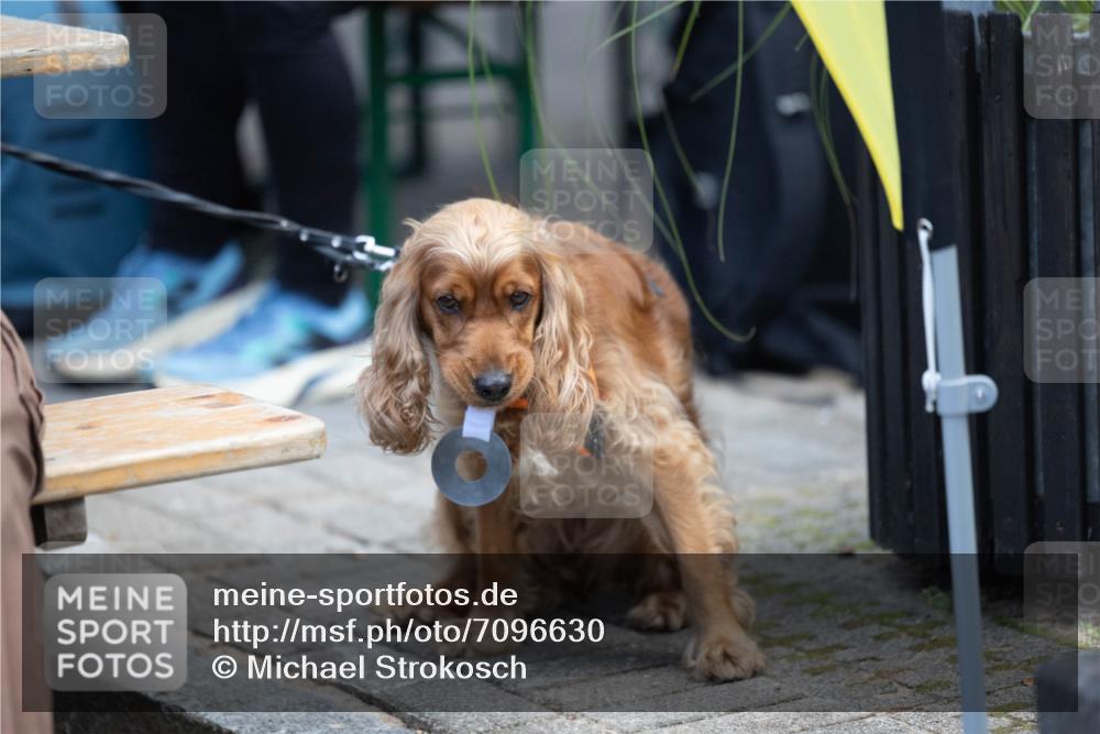 15.09.2024 - PSD Bank Halbmarathon Michael Strokosch http://msf.ph/oto/7096630 15.09.2024 12:23:48 Allgemein zum Event 11 meine-sportfotos.de