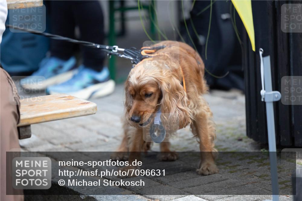 15.09.2024 - PSD Bank Halbmarathon Michael Strokosch http://msf.ph/oto/7096631 15.09.2024 12:23:48 Allgemein zum Event  meine-sportfotos.de