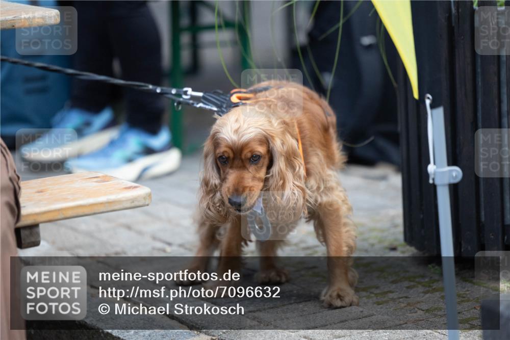 15.09.2024 - PSD Bank Halbmarathon Michael Strokosch http://msf.ph/oto/7096632 15.09.2024 12:23:48 Allgemein zum Event  meine-sportfotos.de