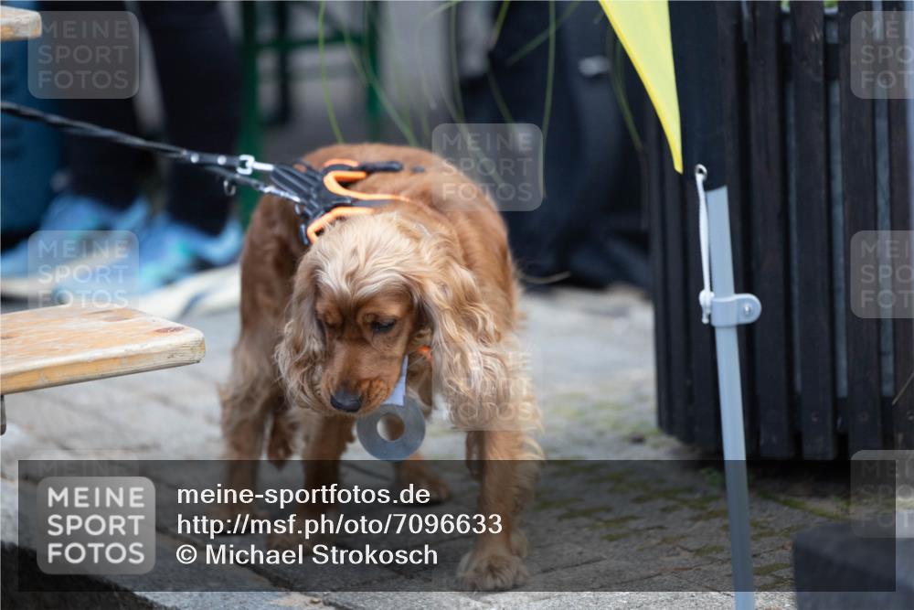 15.09.2024 - PSD Bank Halbmarathon Michael Strokosch http://msf.ph/oto/7096633 15.09.2024 12:23:47 Allgemein zum Event  meine-sportfotos.de