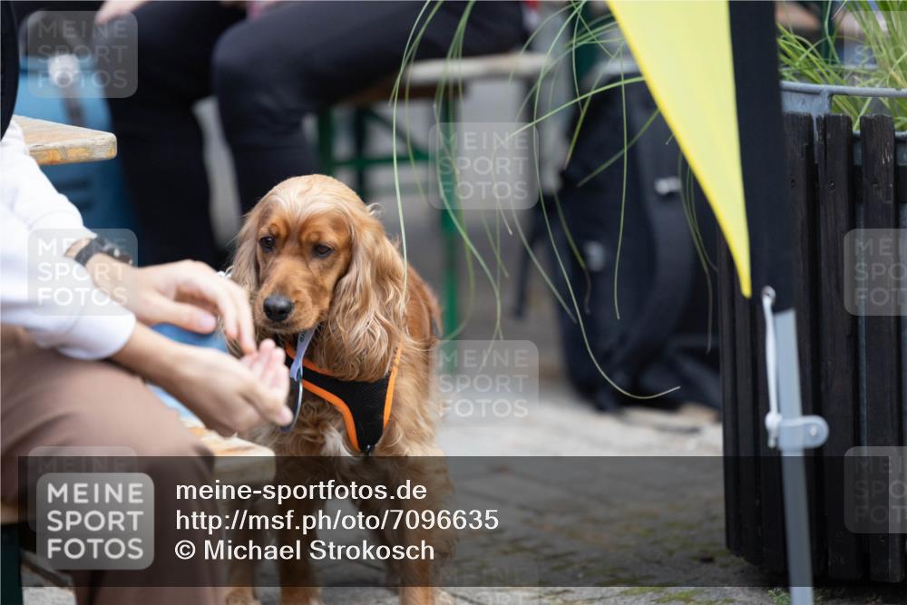 15.09.2024 - PSD Bank Halbmarathon Michael Strokosch http://msf.ph/oto/7096635 15.09.2024 12:23:41 Allgemein zum Event  meine-sportfotos.de