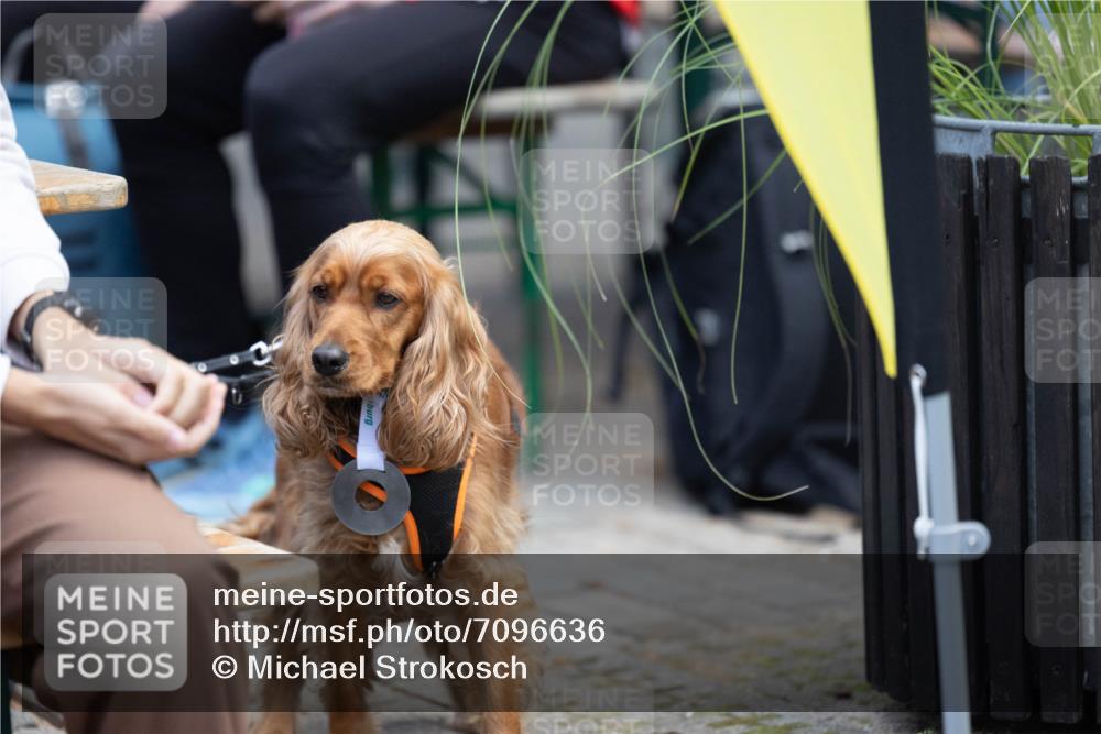 15.09.2024 - PSD Bank Halbmarathon Michael Strokosch http://msf.ph/oto/7096636 15.09.2024 12:23:41 Allgemein zum Event  meine-sportfotos.de
