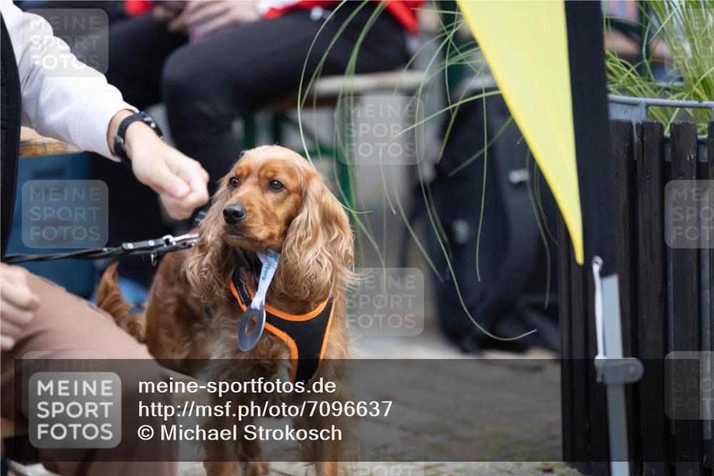 15.09.2024 - PSD Bank Halbmarathon Michael Strokosch http://msf.ph/oto/7096637 15.09.2024 12:23:41 Allgemein zum Event 11, 11 meine-sportfotos.de