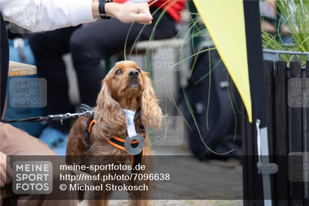 15.09.2024 - PSD Bank Halbmarathon Michael Strokosch http://msf.ph/oto/7096638 15.09.2024 12:23:40 Allgemein zum Event 11, 11 meine-sportfotos.de