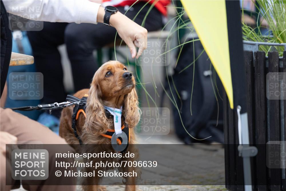 15.09.2024 - PSD Bank Halbmarathon Michael Strokosch http://msf.ph/oto/7096639 15.09.2024 12:23:40 Allgemein zum Event 11, 11 meine-sportfotos.de