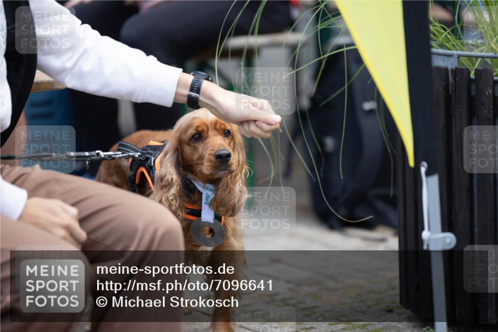 15.09.2024 - PSD Bank Halbmarathon Michael Strokosch http://msf.ph/oto/7096641 15.09.2024 12:23:39 Allgemein zum Event  meine-sportfotos.de