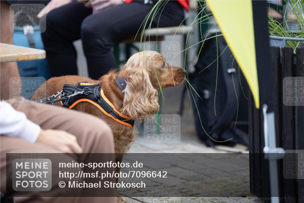 15.09.2024 - PSD Bank Halbmarathon Michael Strokosch http://msf.ph/oto/7096642 15.09.2024 12:23:37 Allgemein zum Event  meine-sportfotos.de