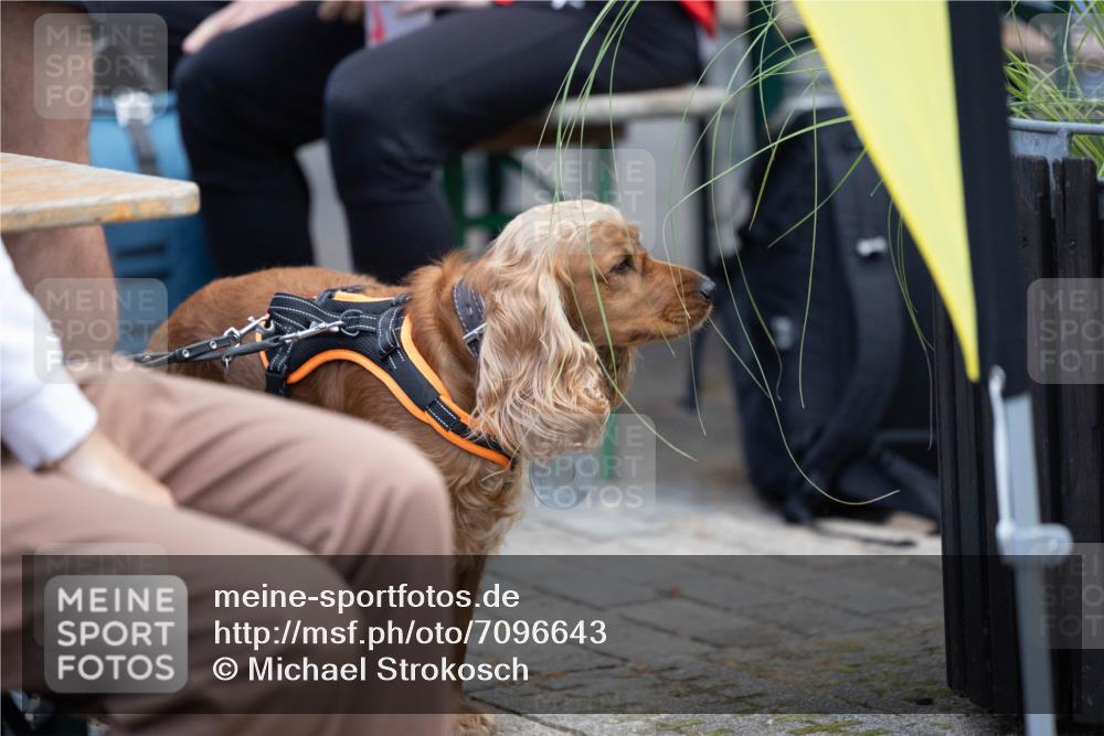 15.09.2024 - PSD Bank Halbmarathon Michael Strokosch http://msf.ph/oto/7096643 15.09.2024 12:23:35 Allgemein zum Event  meine-sportfotos.de