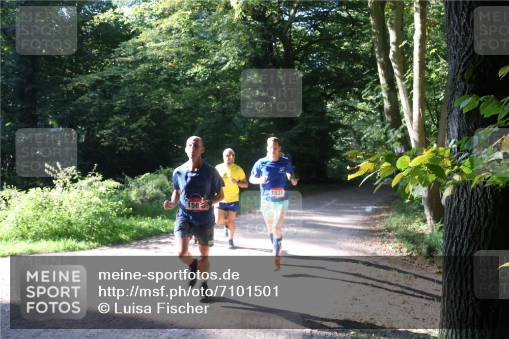 22.09.2024 - 32. Volkslauf durch das schöne Alstertal Luisa Fischer http://msf.ph/oto/7101501 22.09.2024 10:18:24 Laufen 156, 1531 meine-sportfotos.de