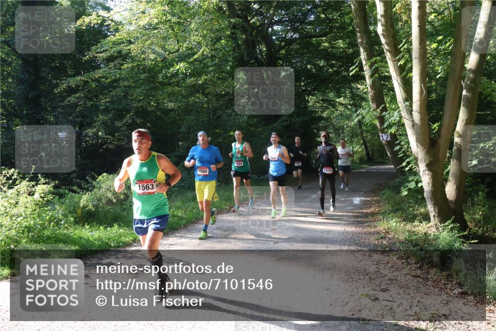 22.09.2024 - 32. Volkslauf durch das schöne Alstertal Luisa Fischer http://msf.ph/oto/7101546 22.09.2024 10:19:43 Laufen 1563, 1550, 1534, 1529 meine-sportfotos.de