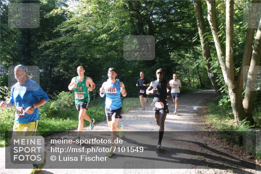 22.09.2024 - 32. Volkslauf durch das schöne Alstertal Luisa Fischer http://msf.ph/oto/7101549 22.09.2024 10:19:44 Laufen 1550, 1534, 1533, 1529, 1570 meine-sportfotos.de