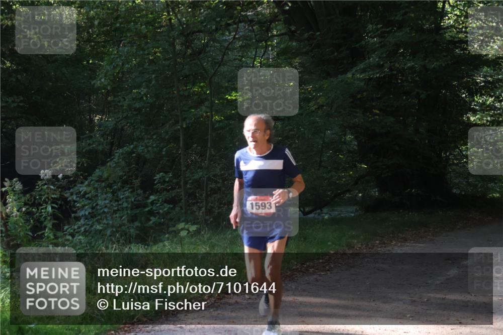 22.09.2024 - 32. Volkslauf durch das schöne Alstertal Luisa Fischer http://msf.ph/oto/7101644 22.09.2024 10:21:24 Laufen 1593 meine-sportfotos.de