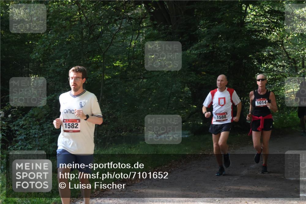22.09.2024 - 32. Volkslauf durch das schöne Alstertal Luisa Fischer http://msf.ph/oto/7101652 22.09.2024 10:21:37 Laufen 1588, 1014, 157, 1582 meine-sportfotos.de
