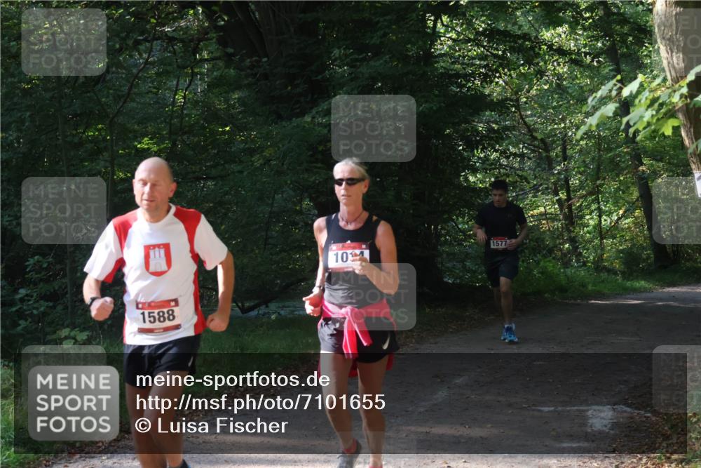 22.09.2024 - 32. Volkslauf durch das schöne Alstertal Luisa Fischer http://msf.ph/oto/7101655 22.09.2024 10:21:38 Laufen 1588, 10, 1577 meine-sportfotos.de