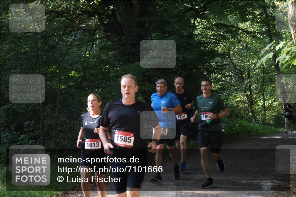 22.09.2024 - 32. Volkslauf durch das schöne Alstertal Luisa Fischer http://msf.ph/oto/7101666 22.09.2024 10:21:53 Laufen 1013, 1585, 519, 1757, 160 meine-sportfotos.de
