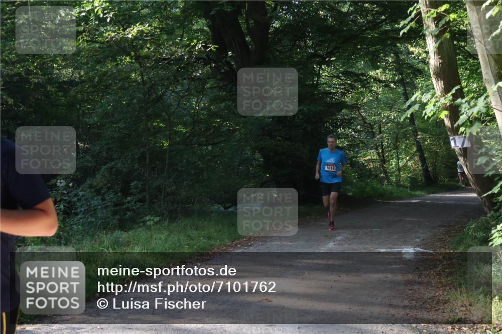 22.09.2024 - 32. Volkslauf durch das schöne Alstertal Luisa Fischer http://msf.ph/oto/7101762 22.09.2024 10:23:24 Laufen 1618 meine-sportfotos.de