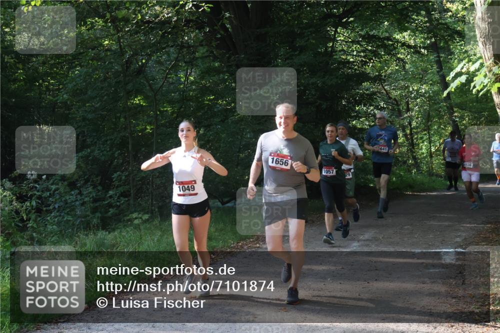 22.09.2024 - 32. Volkslauf durch das schöne Alstertal Luisa Fischer http://msf.ph/oto/7101874 22.09.2024 10:25:32 Laufen 1049, 1656, 1057, 29, 641, 1036 meine-sportfotos.de