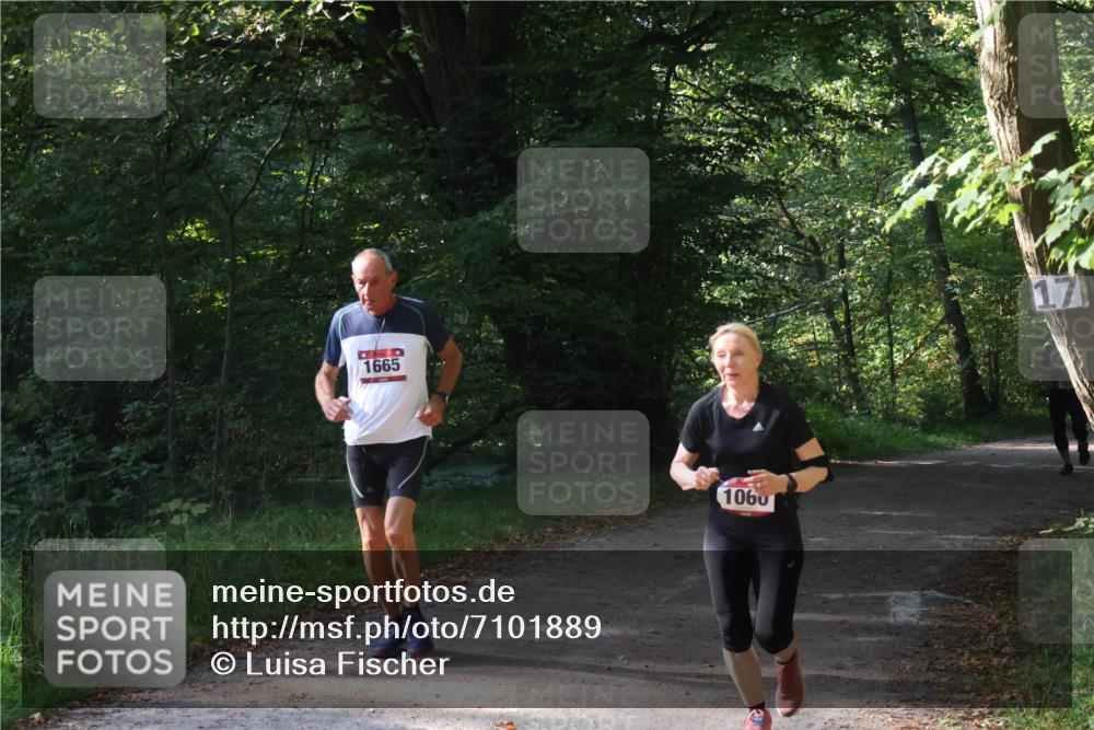 22.09.2024 - 32. Volkslauf durch das schöne Alstertal Luisa Fischer http://msf.ph/oto/7101889 22.09.2024 10:25:46 Laufen 1665, 1060, 17 meine-sportfotos.de