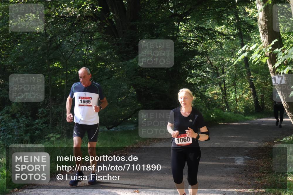 22.09.2024 - 32. Volkslauf durch das schöne Alstertal Luisa Fischer http://msf.ph/oto/7101890 22.09.2024 10:25:47 Laufen 1665, 1060, 17 meine-sportfotos.de