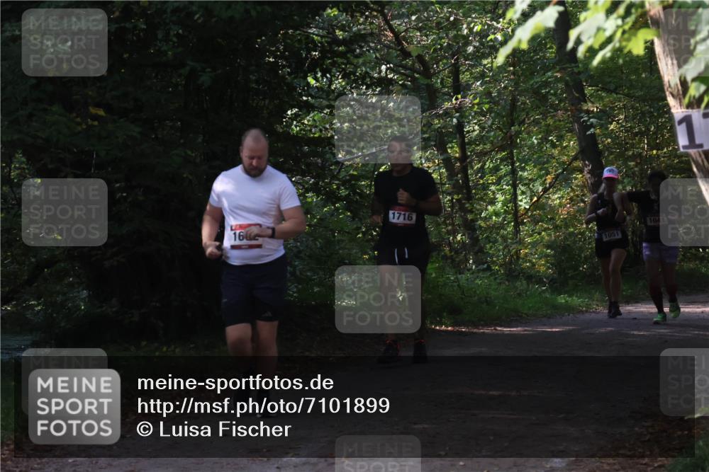 22.09.2024 - 32. Volkslauf durch das schöne Alstertal Luisa Fischer http://msf.ph/oto/7101899 22.09.2024 10:26:11 Laufen 16, 1716, 1051, 1041, 1 meine-sportfotos.de