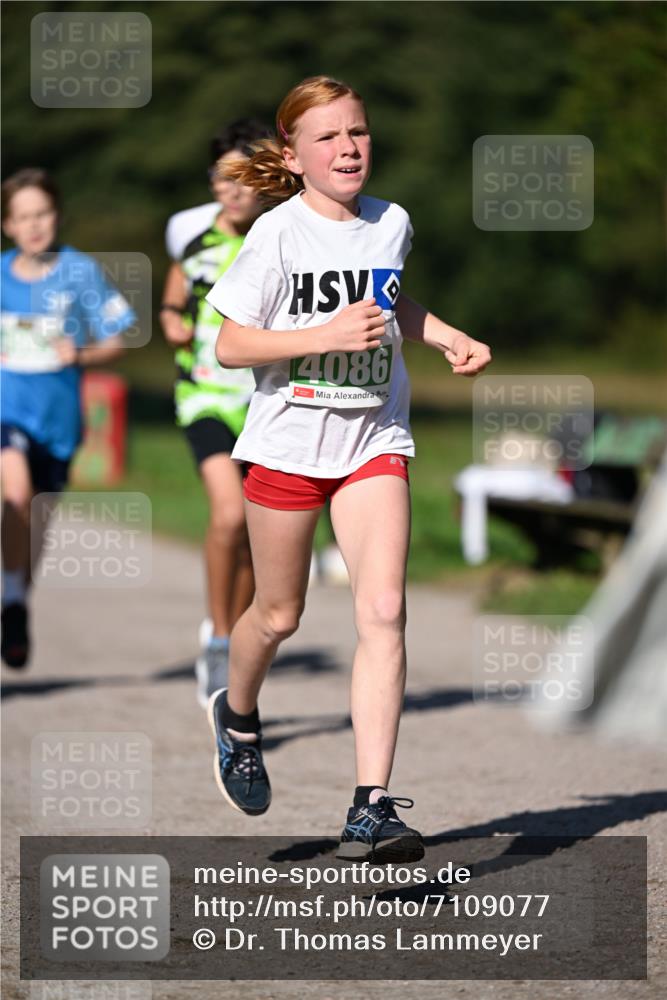22.09.2024 - 32. Volkslauf durch das schöne Alstertal Dr. Thomas Lammeyer http://msf.ph/oto/7109077 22.09.2024 10:39:58 Laufen 4086 meine-sportfotos.de
