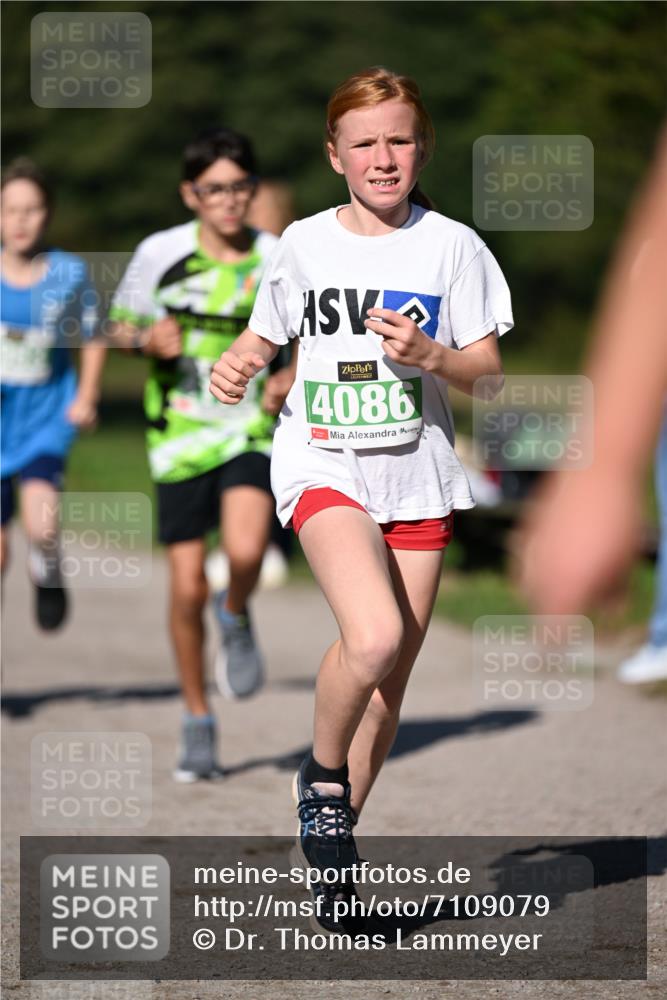 22.09.2024 - 32. Volkslauf durch das schöne Alstertal Dr. Thomas Lammeyer http://msf.ph/oto/7109079 22.09.2024 10:39:58 Laufen 4086 meine-sportfotos.de