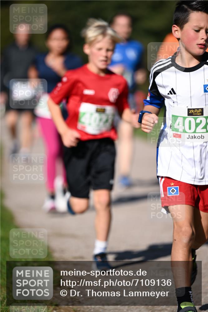 22.09.2024 - 32. Volkslauf durch das schöne Alstertal Dr. Thomas Lammeyer http://msf.ph/oto/7109136 22.09.2024 10:40:14 Laufen 4102, 402 meine-sportfotos.de