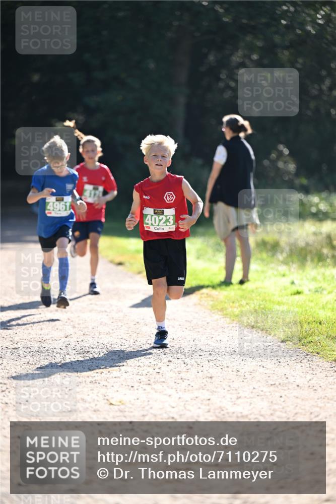 22.09.2024 - 32. Volkslauf durch das schöne Alstertal Dr. Thomas Lammeyer http://msf.ph/oto/7110275 22.09.2024 10:50:20 Laufen 4961, 4023 meine-sportfotos.de