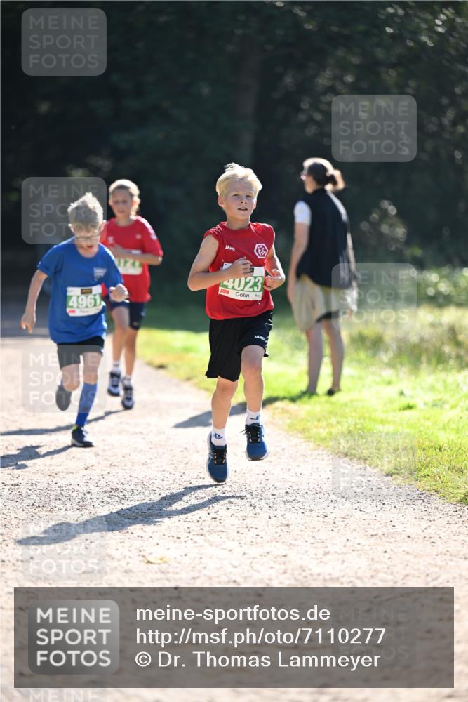 22.09.2024 - 32. Volkslauf durch das schöne Alstertal Dr. Thomas Lammeyer http://msf.ph/oto/7110277 22.09.2024 10:50:20 Laufen 4961, 4023 meine-sportfotos.de