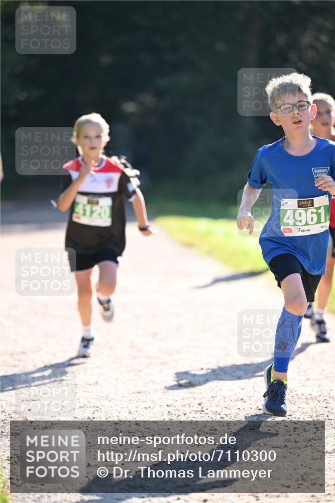 22.09.2024 - 32. Volkslauf durch das schöne Alstertal Dr. Thomas Lammeyer http://msf.ph/oto/7110300 22.09.2024 10:50:22 Laufen 120, 4961 meine-sportfotos.de