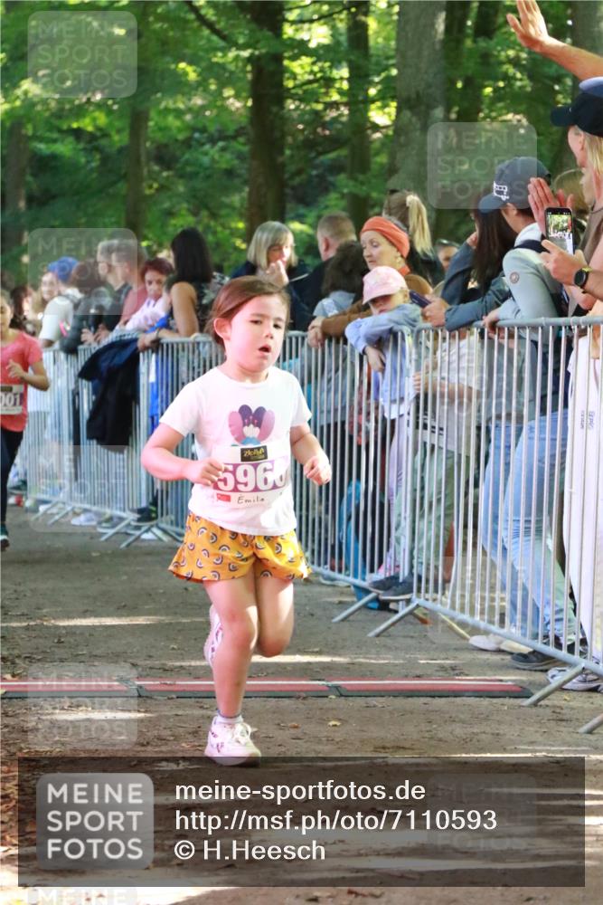 22.09.2024 - 32. Volkslauf durch das schöne Alstertal H.Heesch http://msf.ph/oto/7110593 22.09.2024 10:47:10 Ziel 5001, 5002, 5042, 5966 meine-sportfotos.de