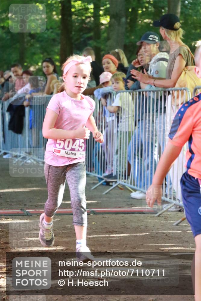 22.09.2024 - 32. Volkslauf durch das schöne Alstertal H.Heesch http://msf.ph/oto/7110711 22.09.2024 10:47:28 Ziel 5011, 5041, 5044, 5045 meine-sportfotos.de