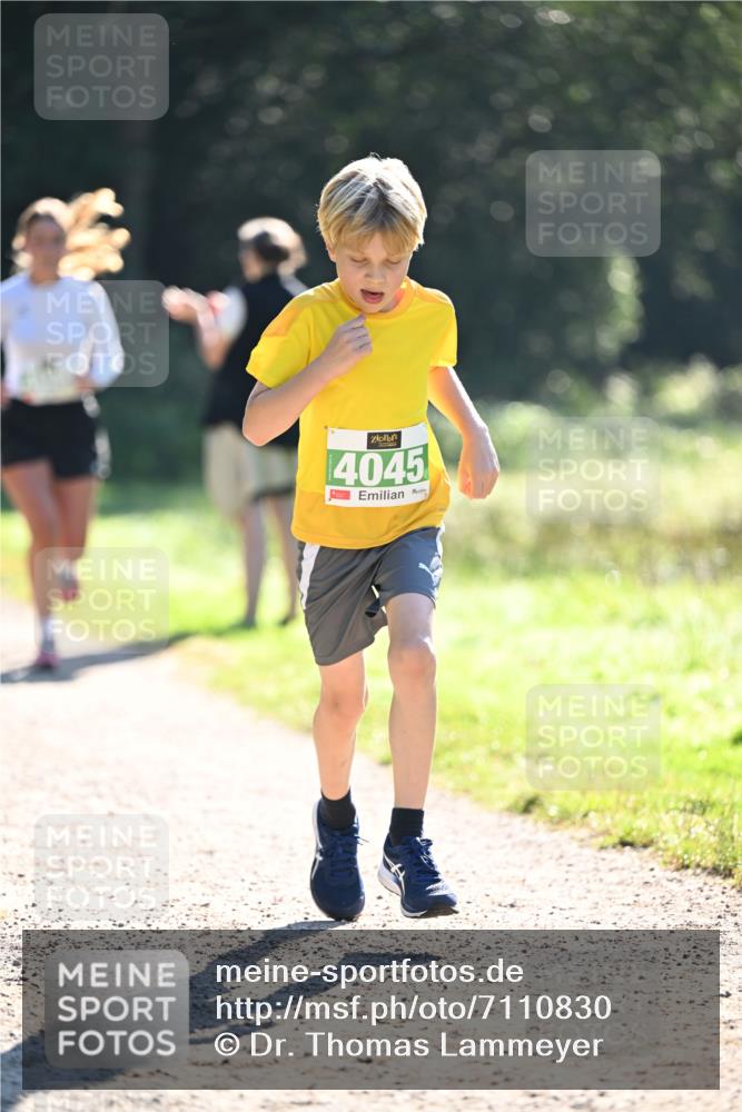 22.09.2024 - 32. Volkslauf durch das schöne Alstertal Dr. Thomas Lammeyer http://msf.ph/oto/7110830 22.09.2024 10:51:37 Laufen 4045 meine-sportfotos.de