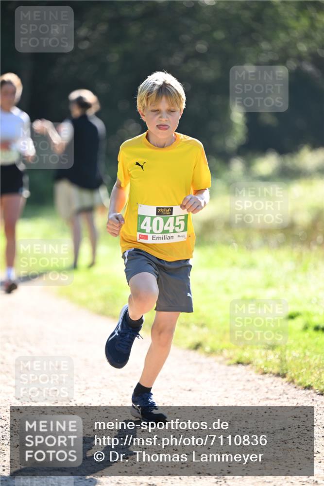 22.09.2024 - 32. Volkslauf durch das schöne Alstertal Dr. Thomas Lammeyer http://msf.ph/oto/7110836 22.09.2024 10:51:37 Laufen 4045 meine-sportfotos.de