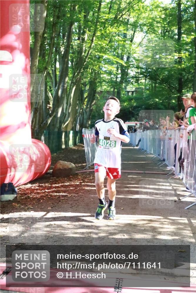 22.09.2024 - 32. Volkslauf durch das schöne Alstertal H.Heesch http://msf.ph/oto/7111641 22.09.2024 10:54:05 Ziel 4028, 4163 meine-sportfotos.de